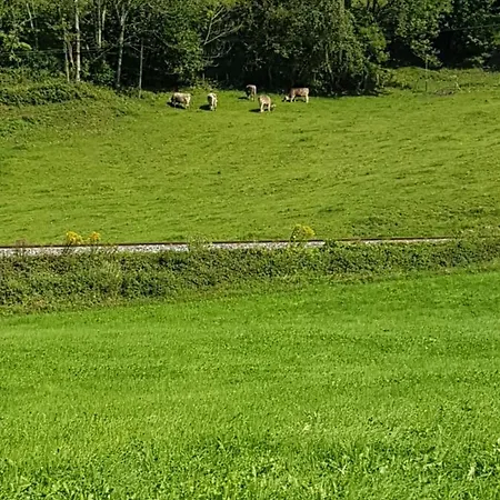 Seeadler-ferien * Oberstaufen